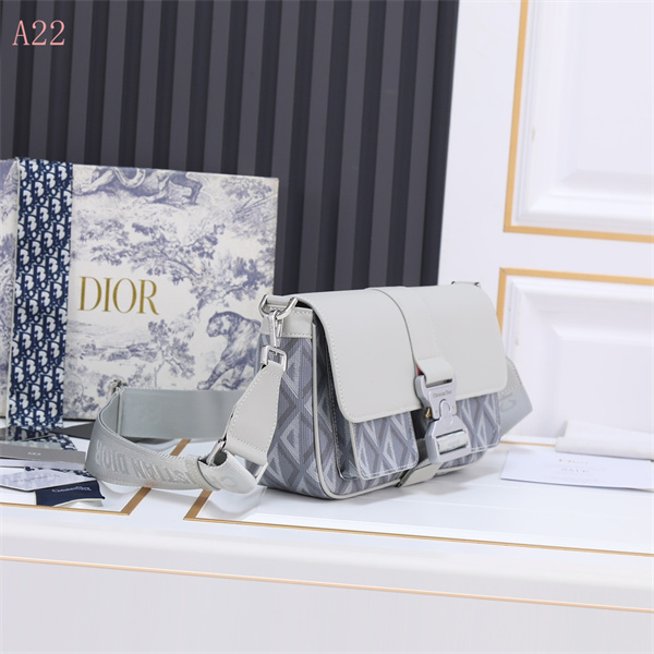 Dior Bags AAA 119